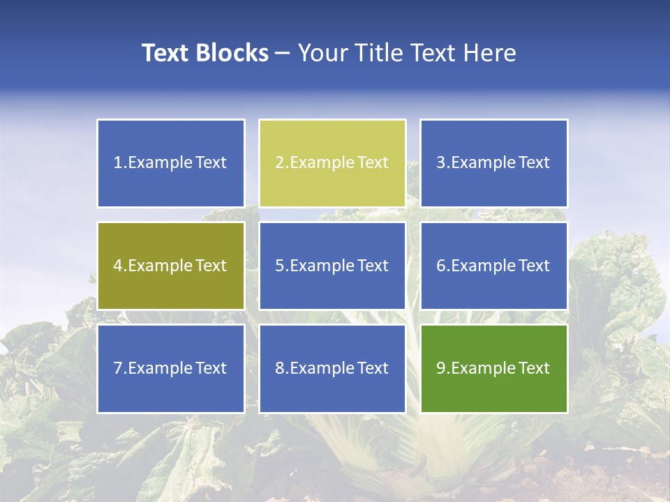 Background Salad Leaf PowerPoint Template
