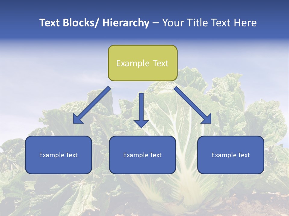 Background Salad Leaf PowerPoint Template