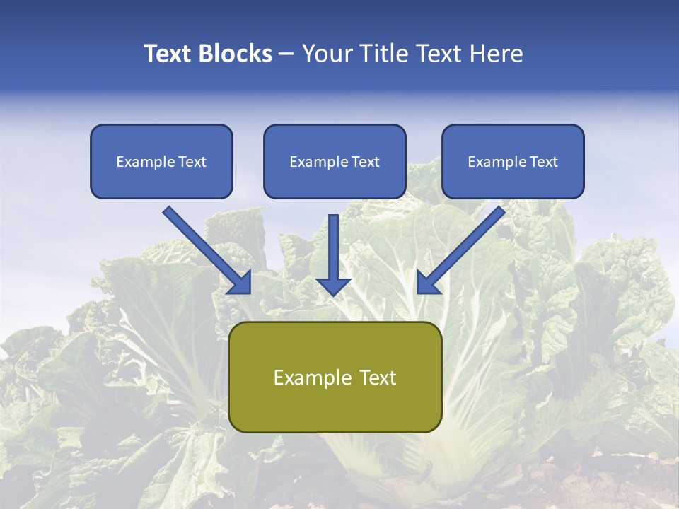 Background Salad Leaf PowerPoint Template