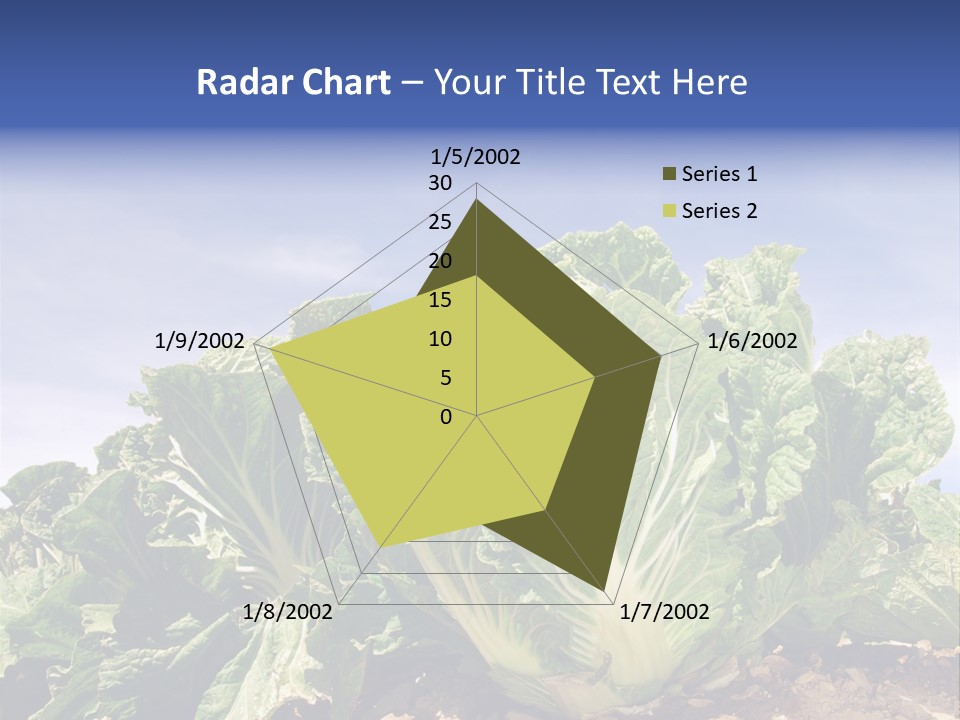 Background Salad Leaf PowerPoint Template