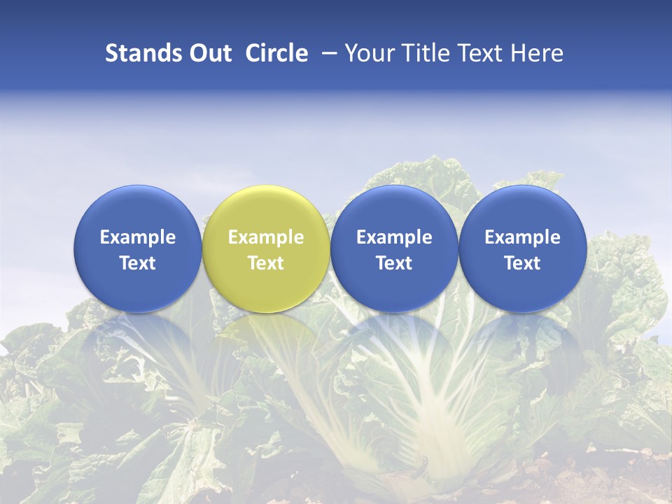 Background Salad Leaf PowerPoint Template