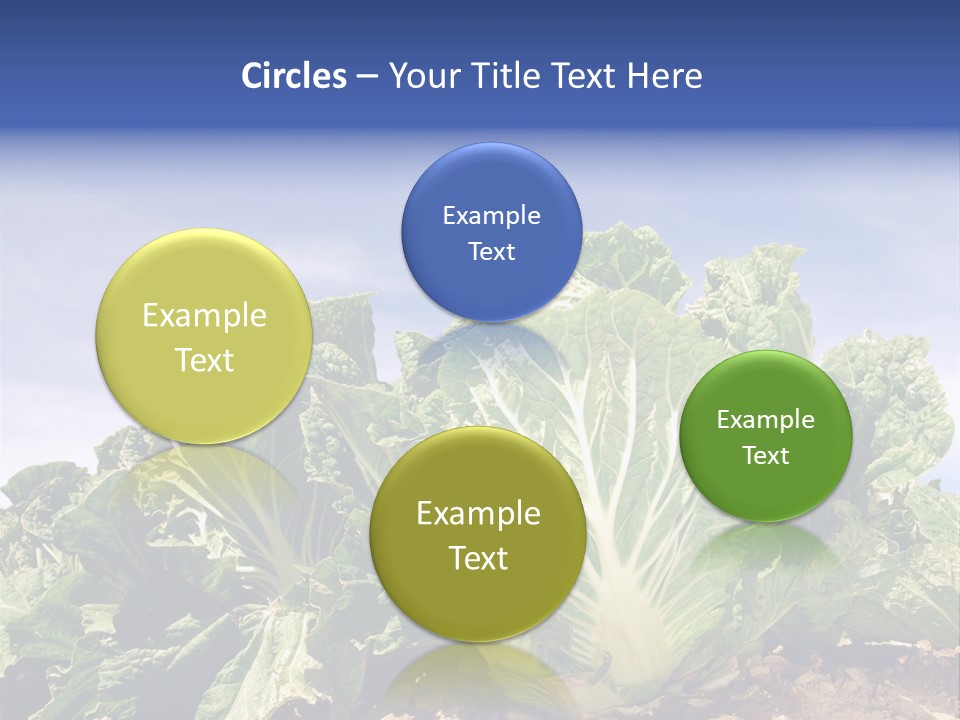 Background Salad Leaf PowerPoint Template