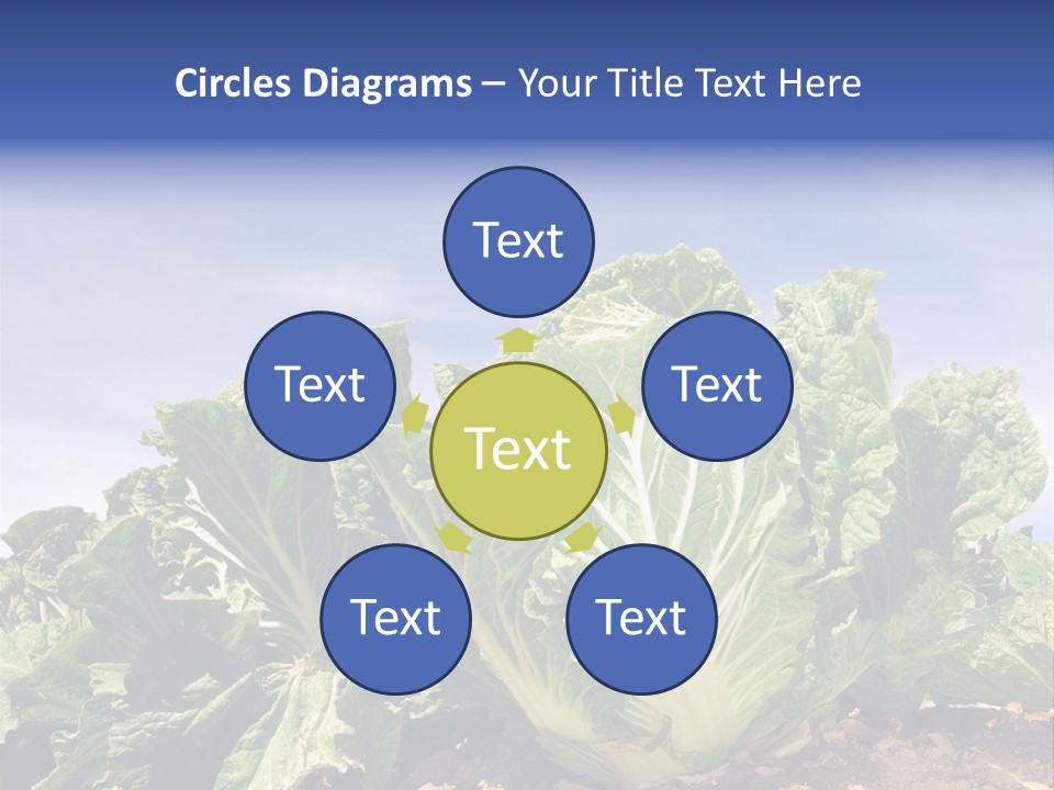 Background Salad Leaf PowerPoint Template