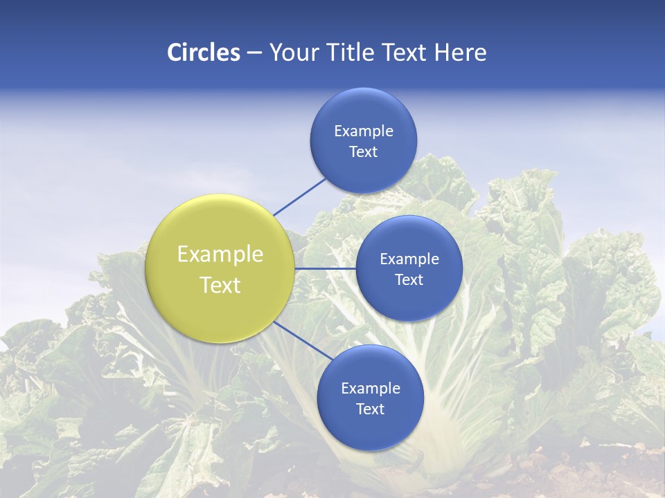 Background Salad Leaf PowerPoint Template