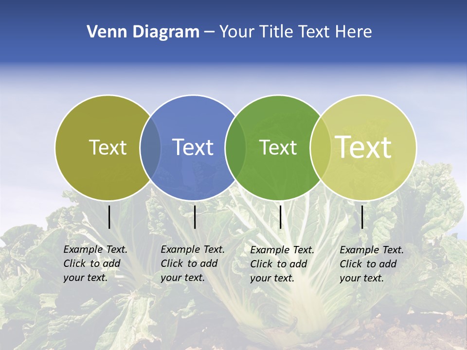 Background Salad Leaf PowerPoint Template