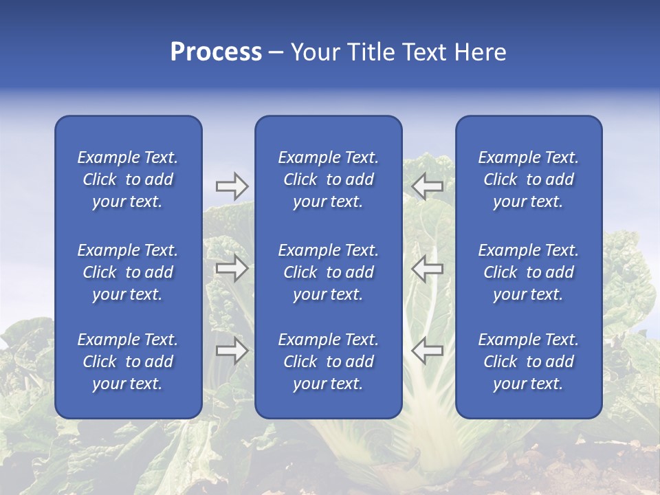 Background Salad Leaf PowerPoint Template