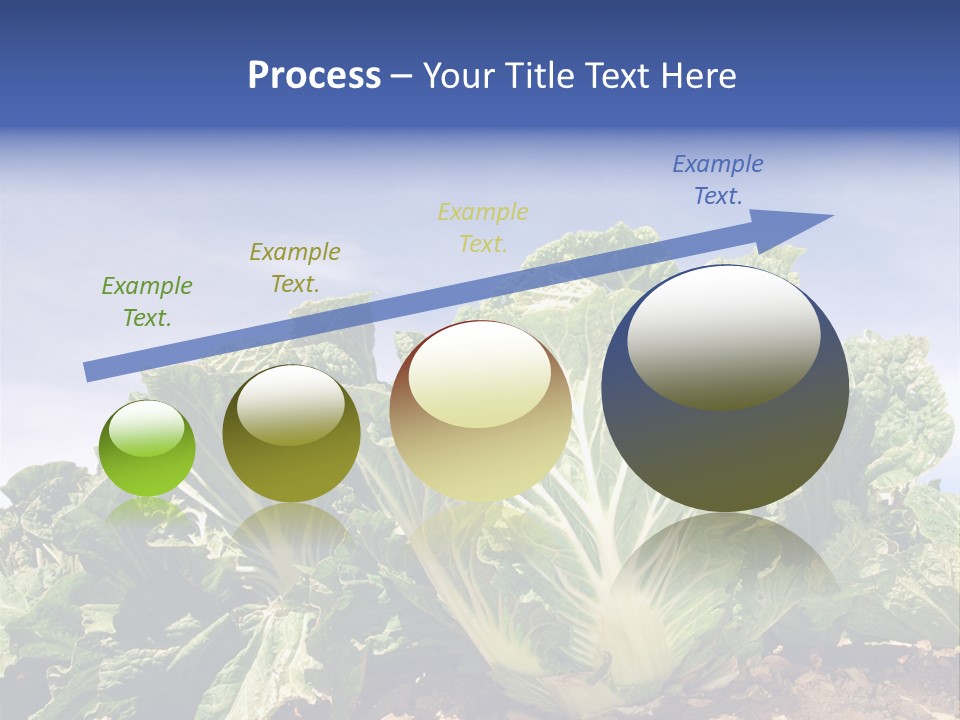 Background Salad Leaf PowerPoint Template