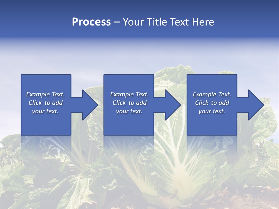 Background Salad Leaf PowerPoint Template