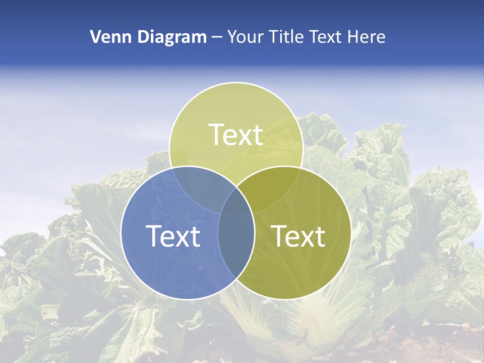 Background Salad Leaf PowerPoint Template