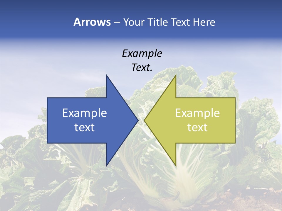 Background Salad Leaf PowerPoint Template