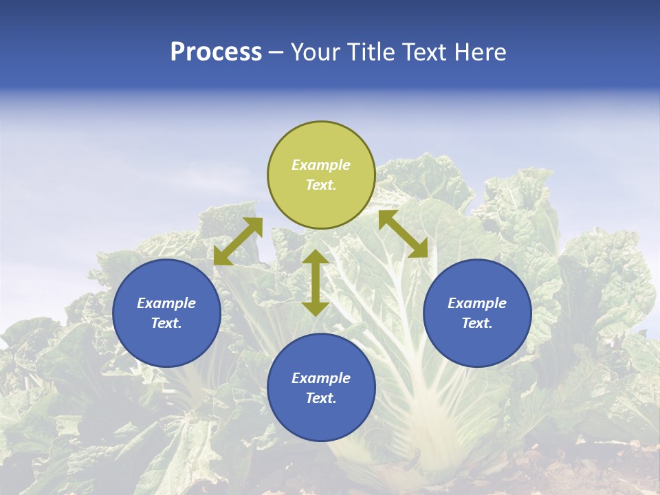 Background Salad Leaf PowerPoint Template