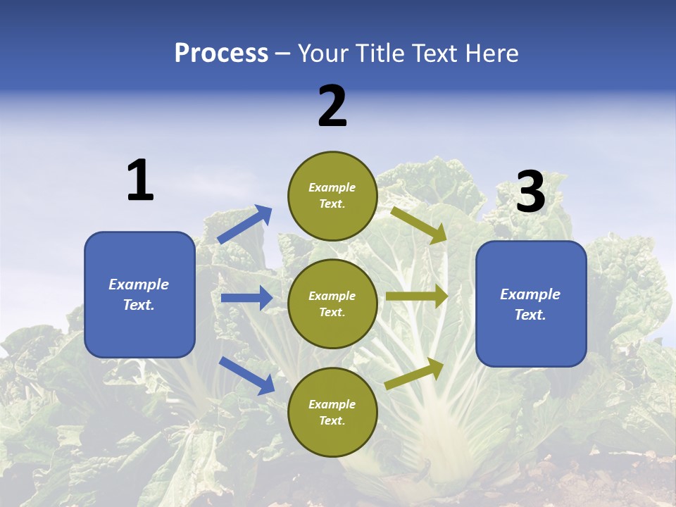 Background Salad Leaf PowerPoint Template