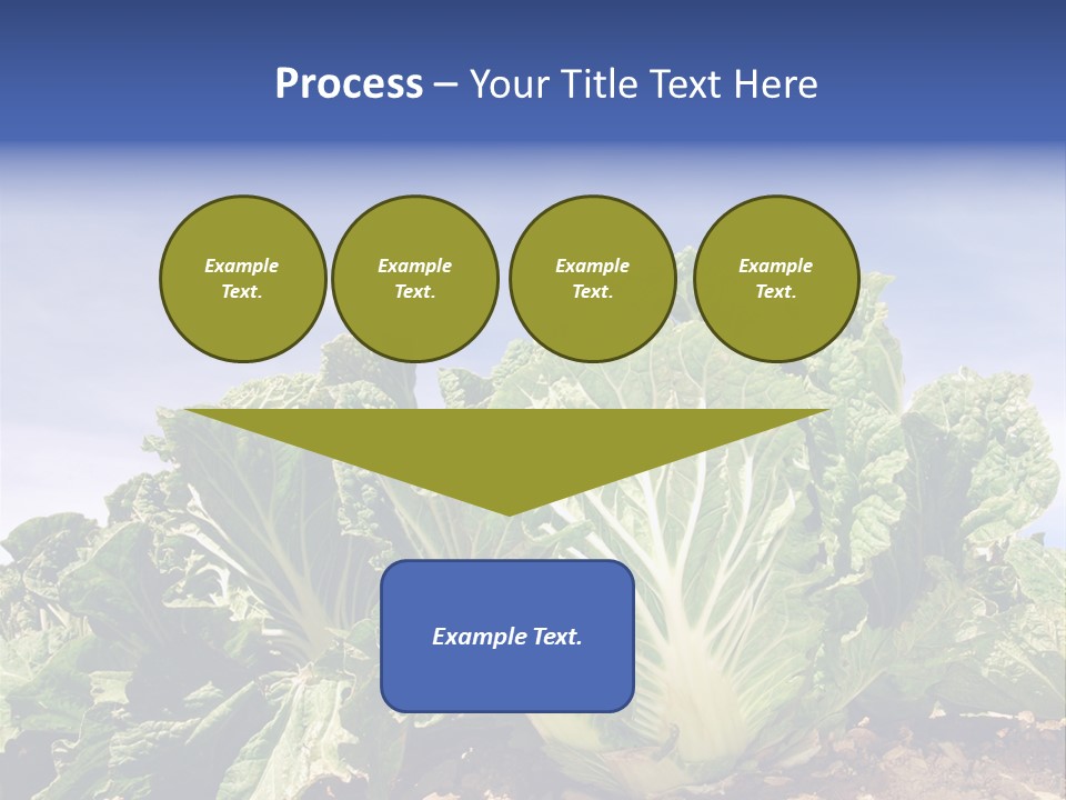 Background Salad Leaf PowerPoint Template