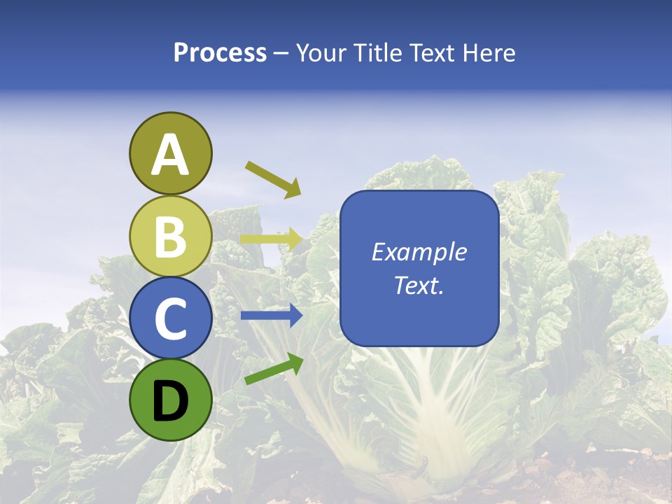 Background Salad Leaf PowerPoint Template