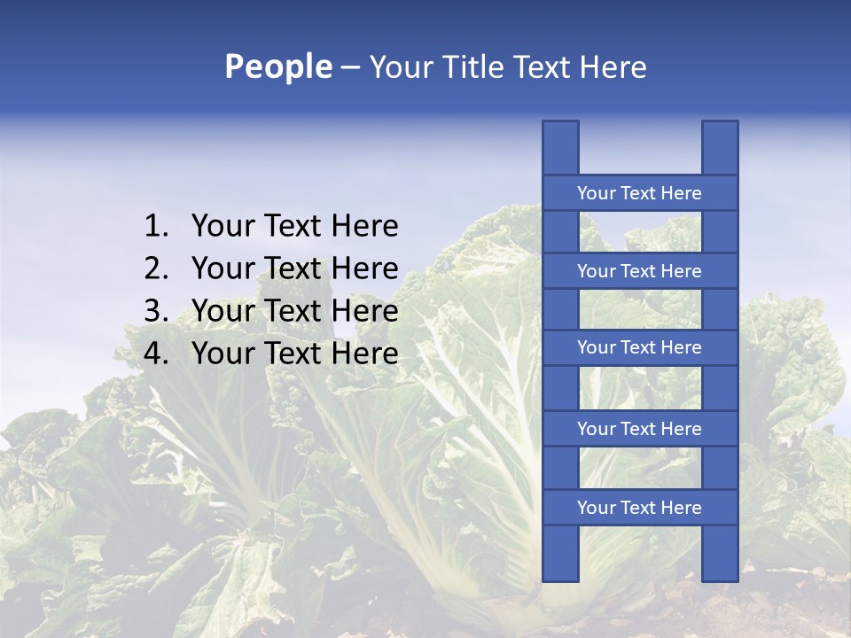 Background Salad Leaf PowerPoint Template