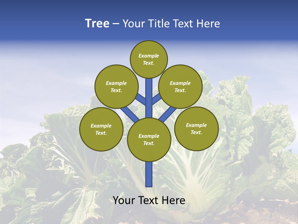 Background Salad Leaf PowerPoint Template