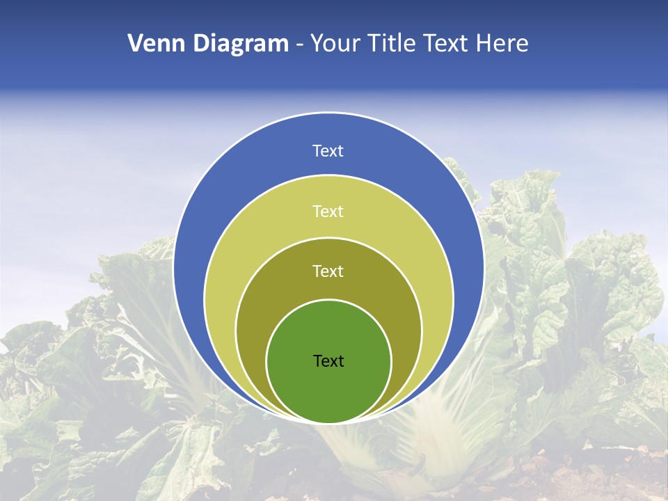 Background Salad Leaf PowerPoint Template