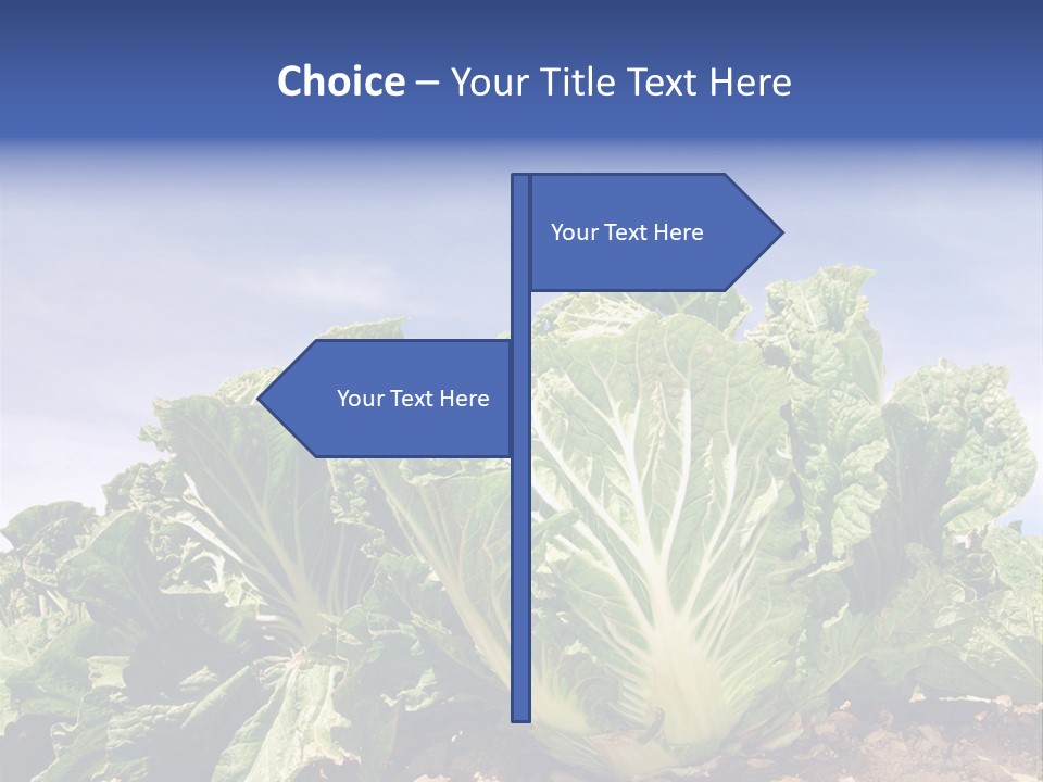 Background Salad Leaf PowerPoint Template