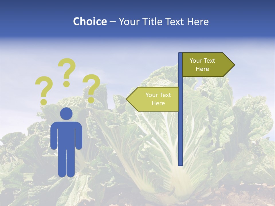 Background Salad Leaf PowerPoint Template