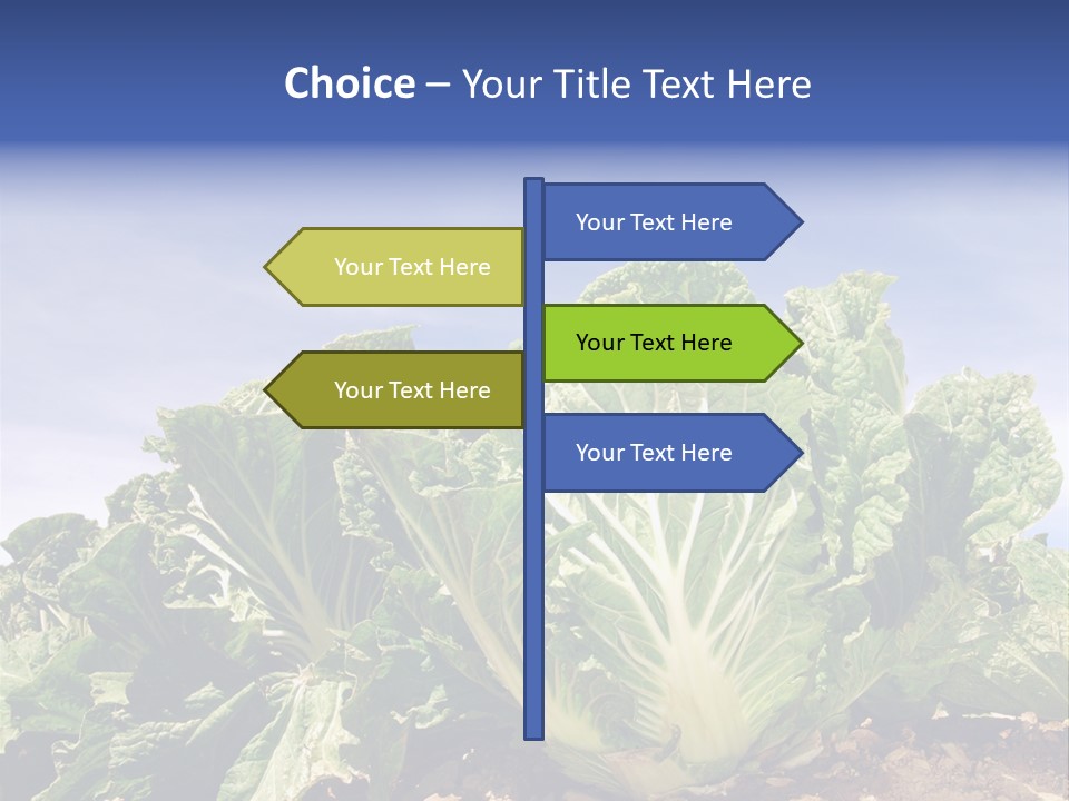 Background Salad Leaf PowerPoint Template