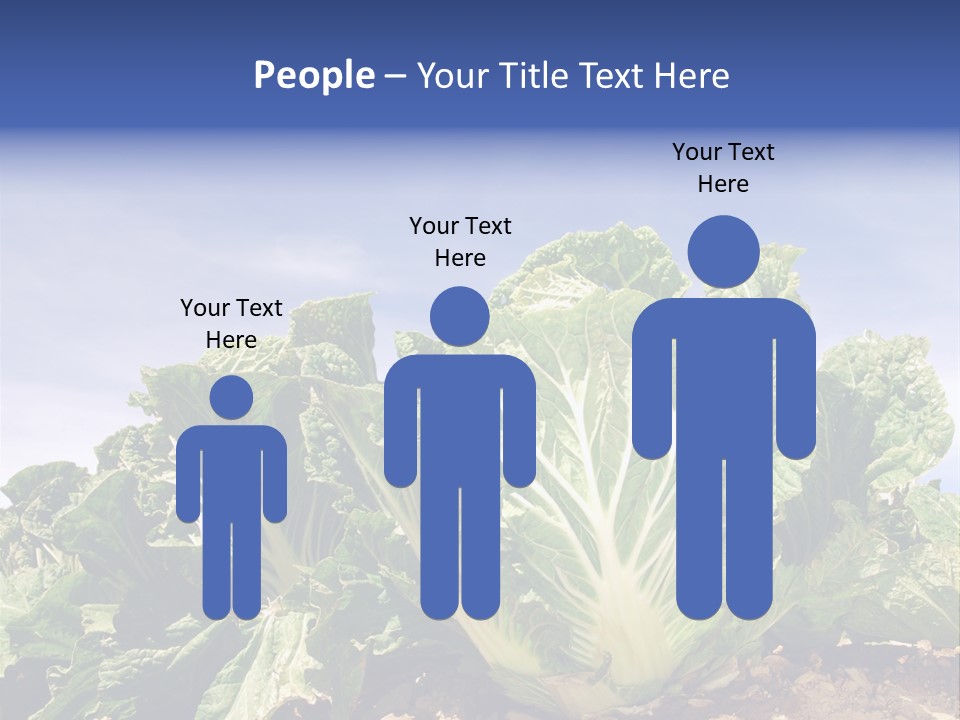 Background Salad Leaf PowerPoint Template