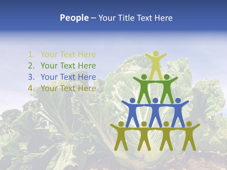 Background Salad Leaf PowerPoint Template