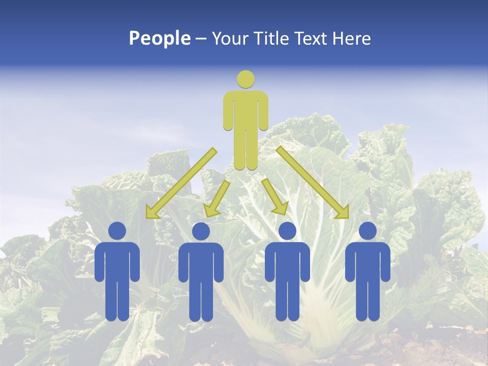 Background Salad Leaf PowerPoint Template