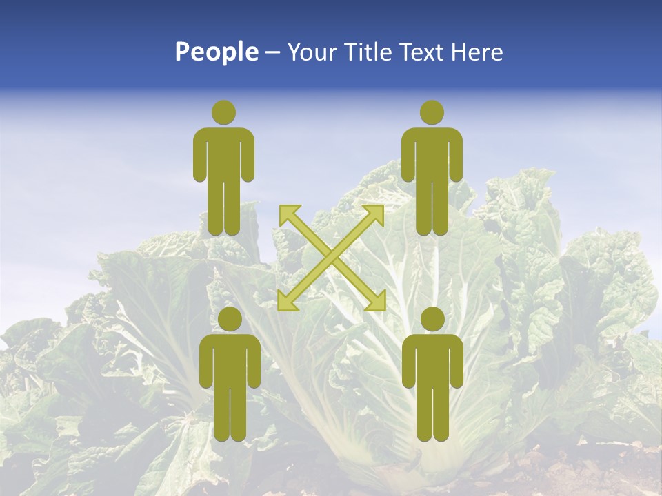 Background Salad Leaf PowerPoint Template