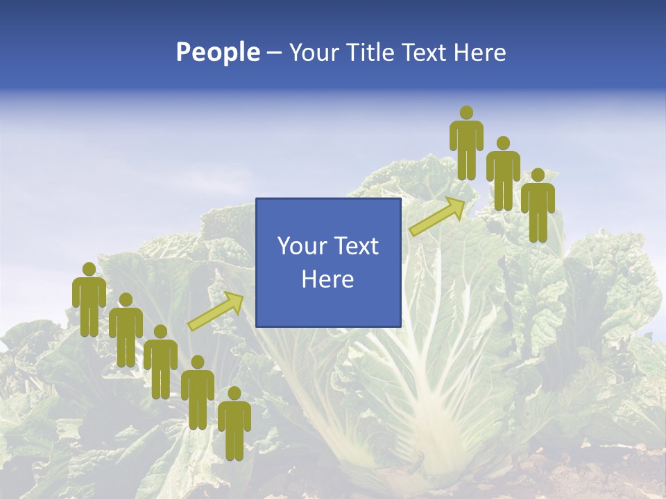 Background Salad Leaf PowerPoint Template