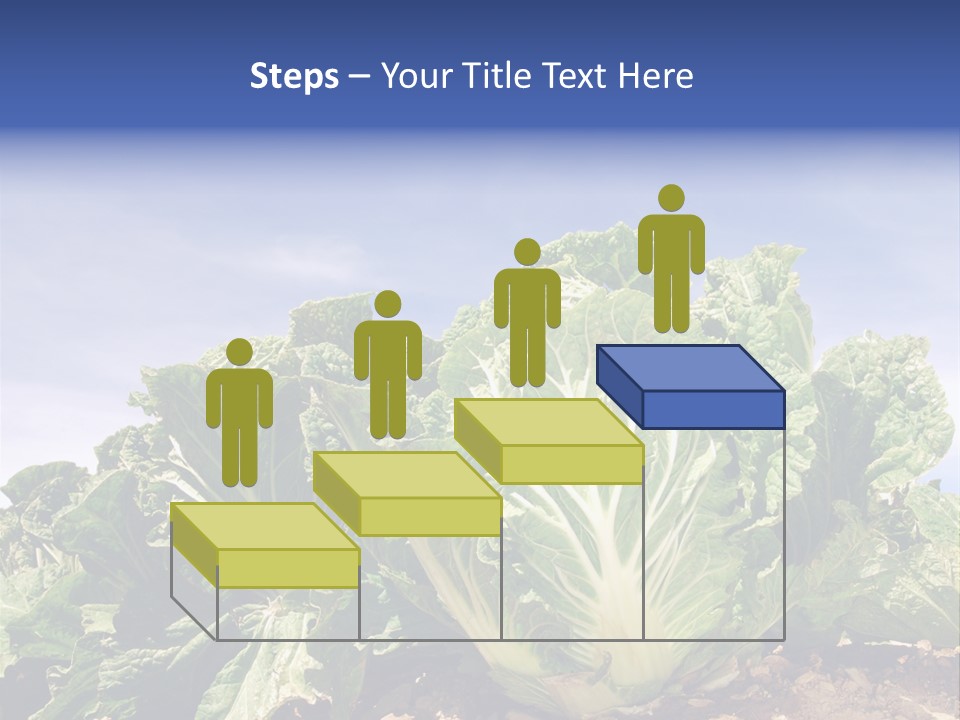 Background Salad Leaf PowerPoint Template