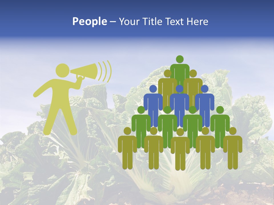 Background Salad Leaf PowerPoint Template