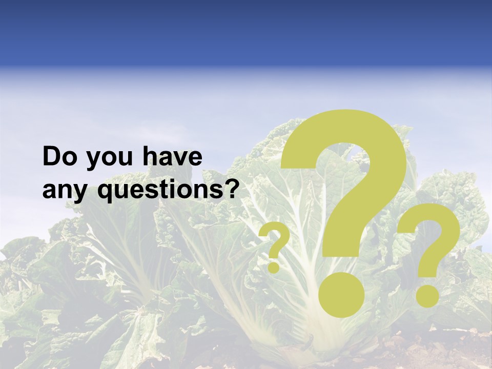 Background Salad Leaf PowerPoint Template