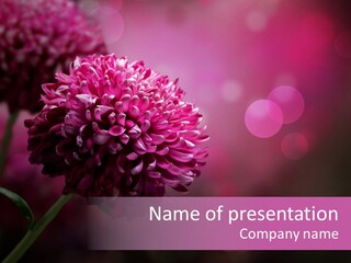 Object Beautiful Purple PowerPoint Template