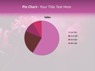 Object Beautiful Purple PowerPoint Template