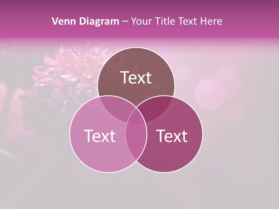 Object Beautiful Purple PowerPoint Template