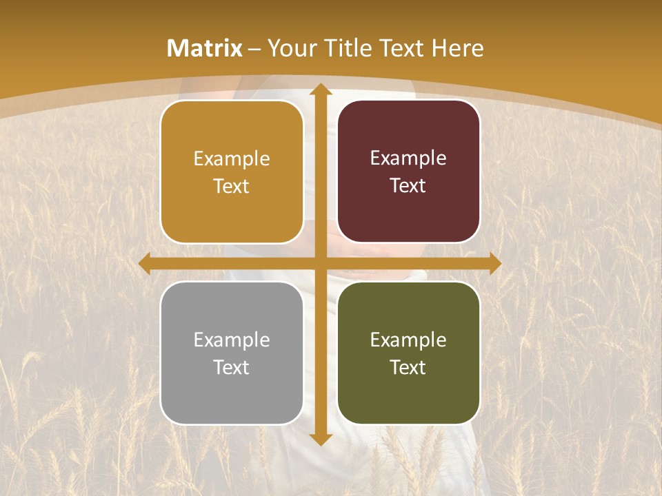 Health Female Belly PowerPoint Template