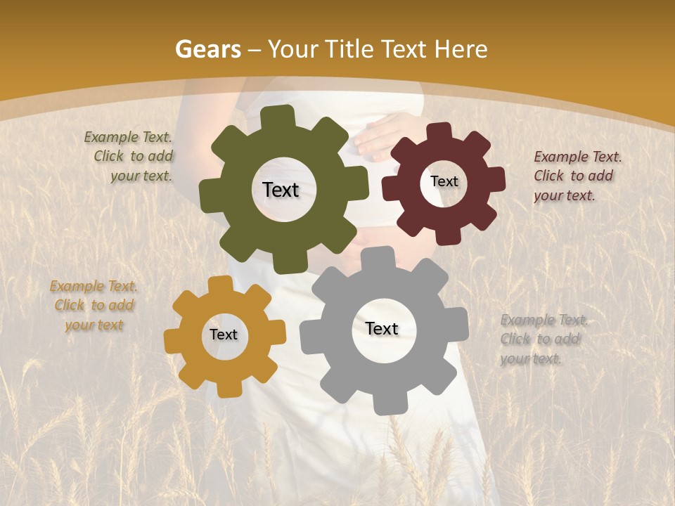 Health Female Belly PowerPoint Template