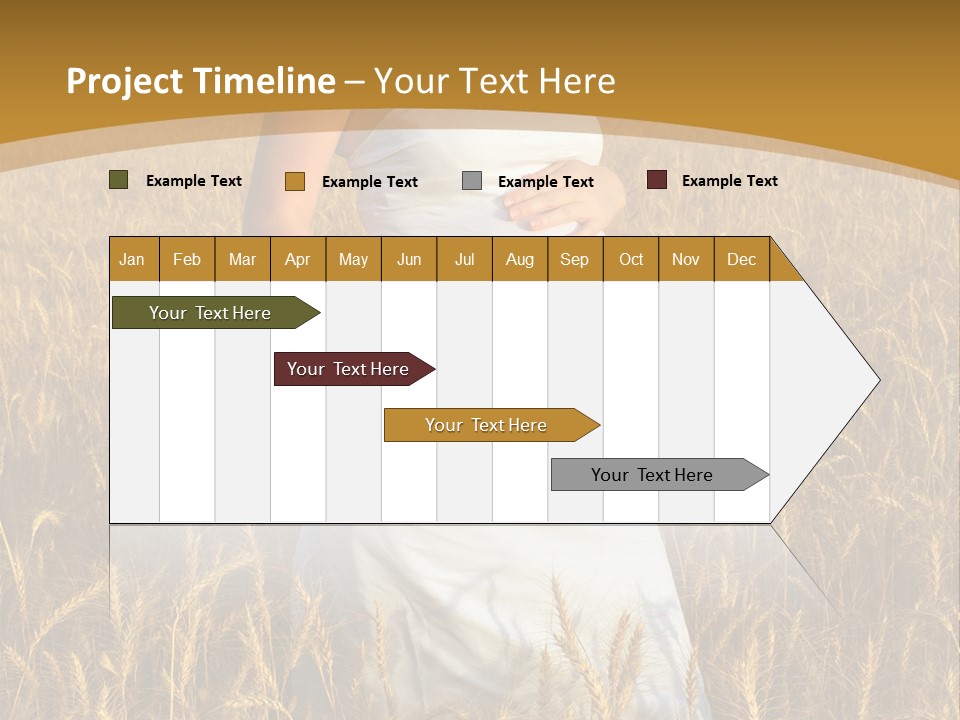 Health Female Belly PowerPoint Template