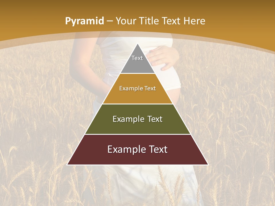 Health Female Belly PowerPoint Template