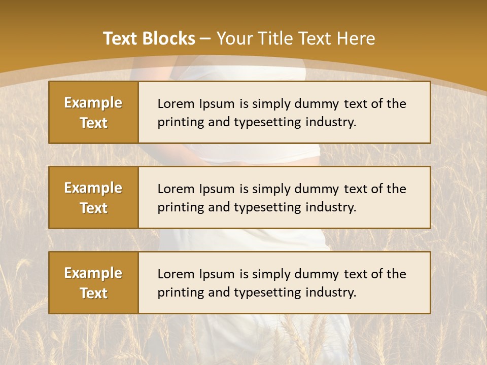 Health Female Belly PowerPoint Template