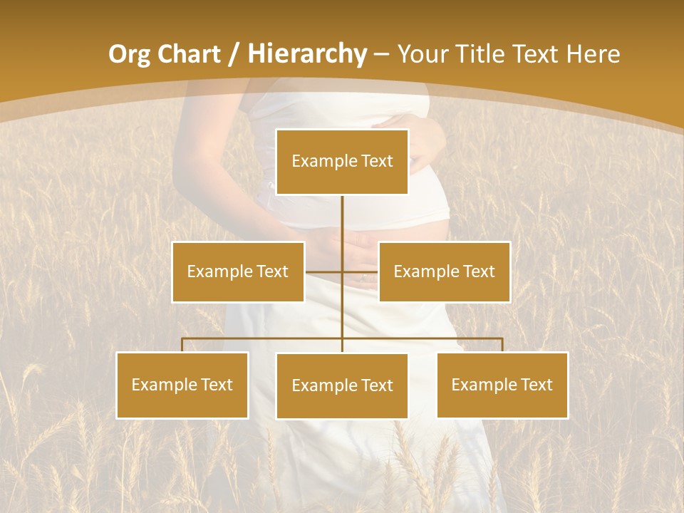 Health Female Belly PowerPoint Template