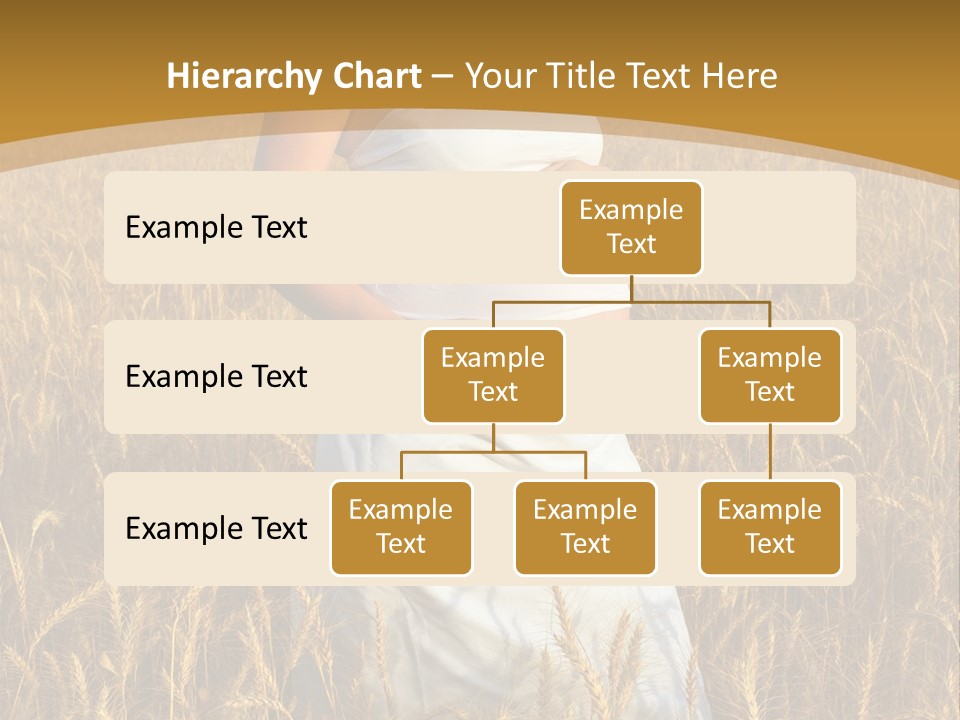 Health Female Belly PowerPoint Template