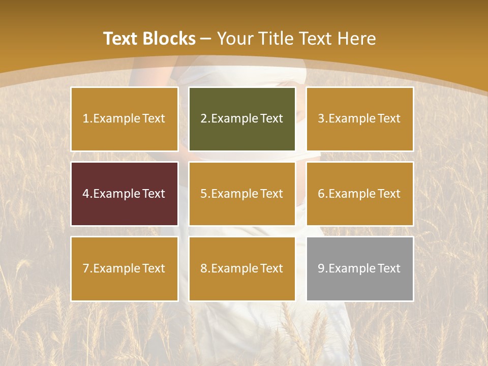 Health Female Belly PowerPoint Template