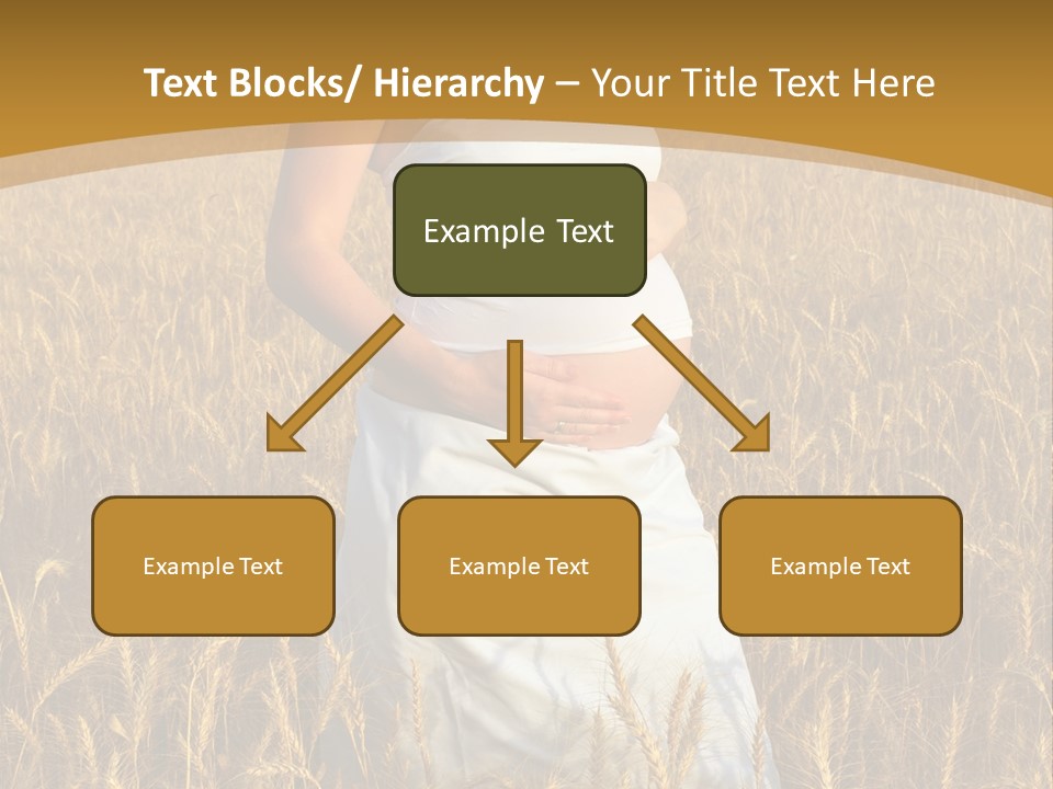 Health Female Belly PowerPoint Template