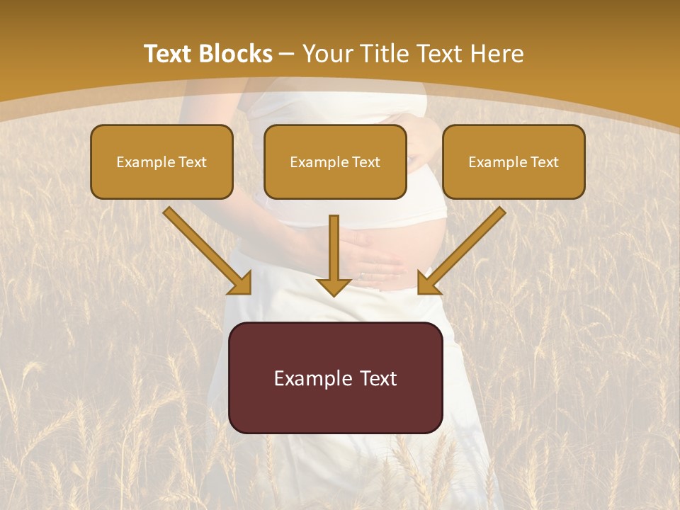 Health Female Belly PowerPoint Template