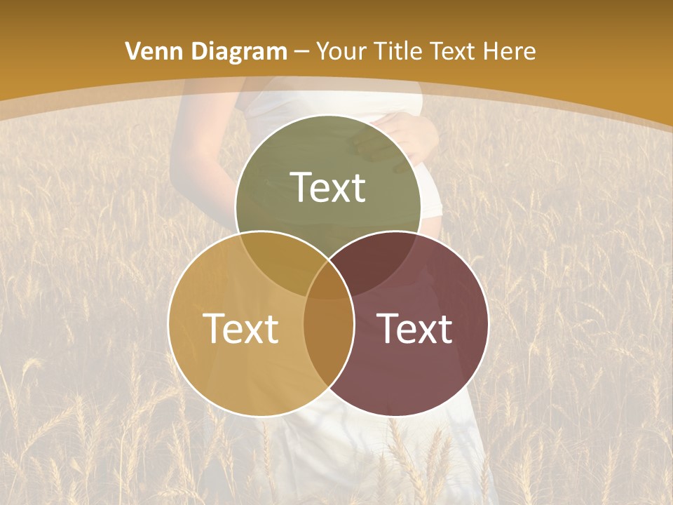 Health Female Belly PowerPoint Template