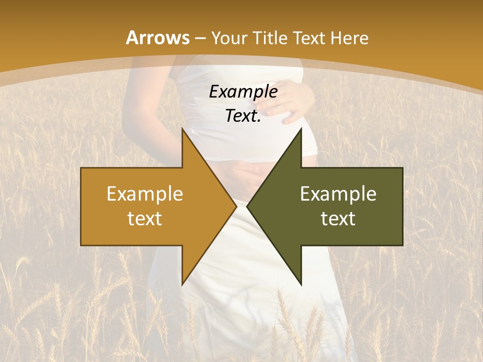 Health Female Belly PowerPoint Template