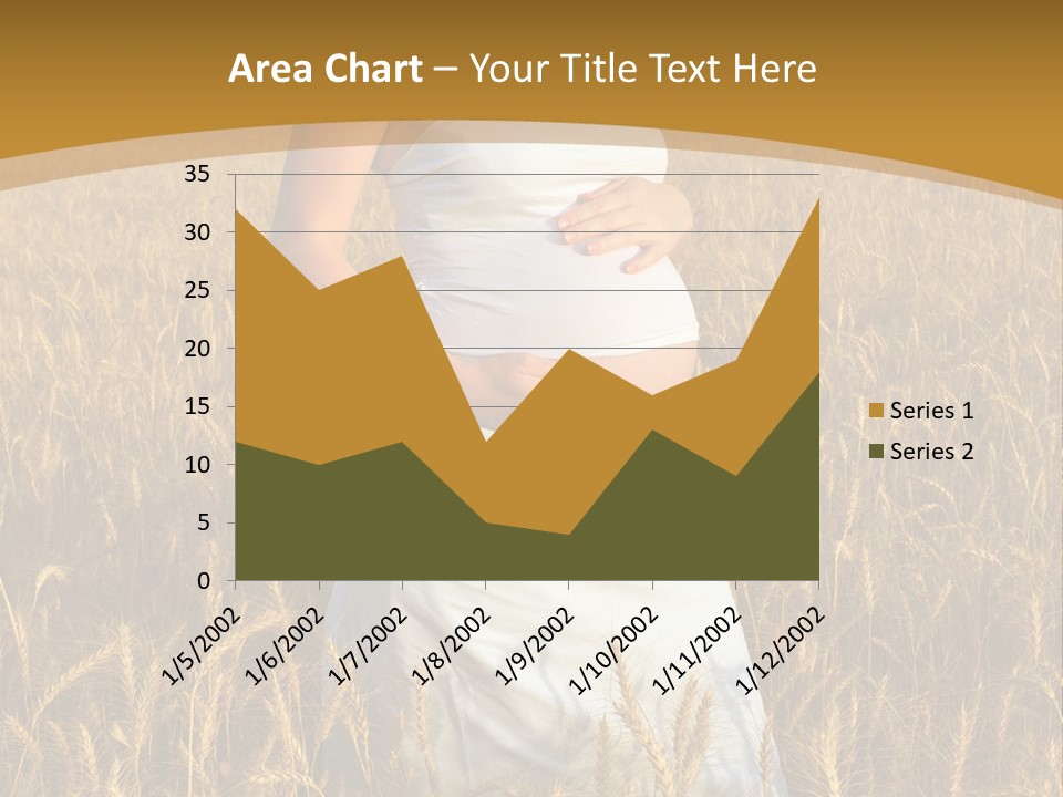 Health Female Belly PowerPoint Template