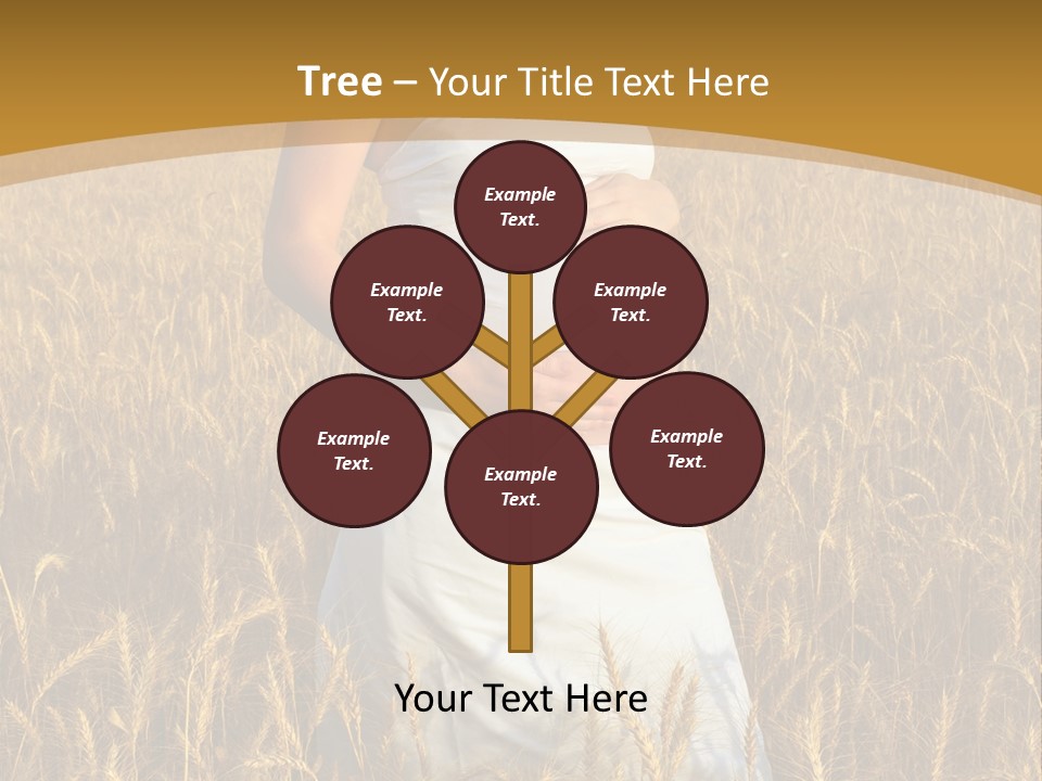 Health Female Belly PowerPoint Template