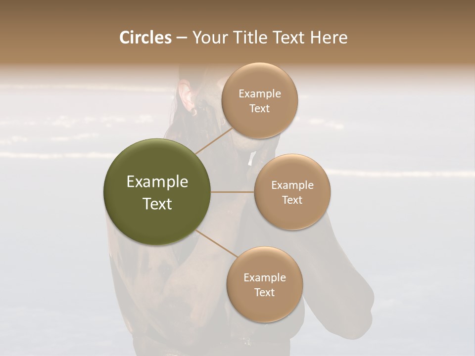 Horizontal Treatment Beauty PowerPoint Template